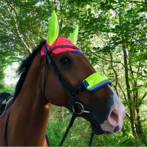 Equisafety Charlotte Dujardin Multi Coloured Ears